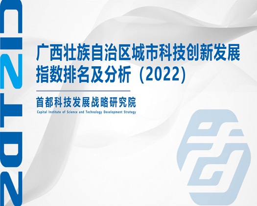 美女被鸡鸡捅网站在线看视频【成果发布】广西壮族自治区城市科技创新发展指数排名及分析（2022）